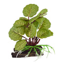 UT Silk Varigated Flapjack