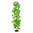 UT Silk Bacopa Monnieri - 20"