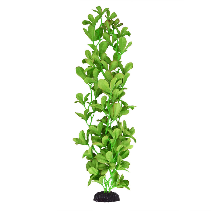 UT Silk Bacopa Monnieri - 20"