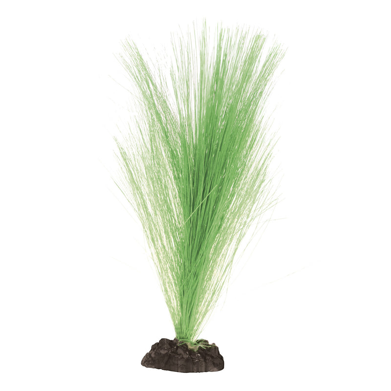 Silk Hairgrass - Green 8"