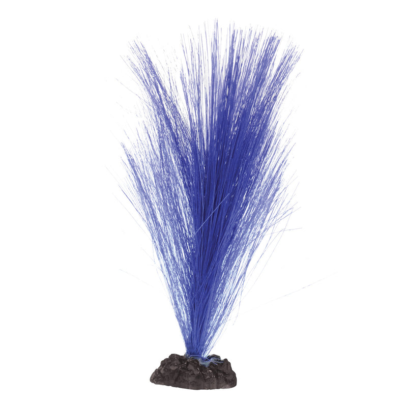 Silk Hairgrass - Purple 8"