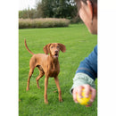 Zeus Nitro Weighted Ball - Large - 7.6 cm diam. (3 in)