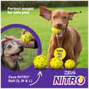 Zeus Nitro Weighted Ball - Large - 7.6 cm diam. (3 in)
