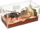 Zilla Micro Habitat - Small Terrestrial - 8"L x 4"W x 4"H ~ For Ground Dwellers