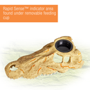 Zilla Rapid Sense  UV Detecting Décor - Crocodile Skull - Medium