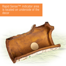 Zilla Rapid Sense  UV Detecting Décor - Poplar Log - Medium