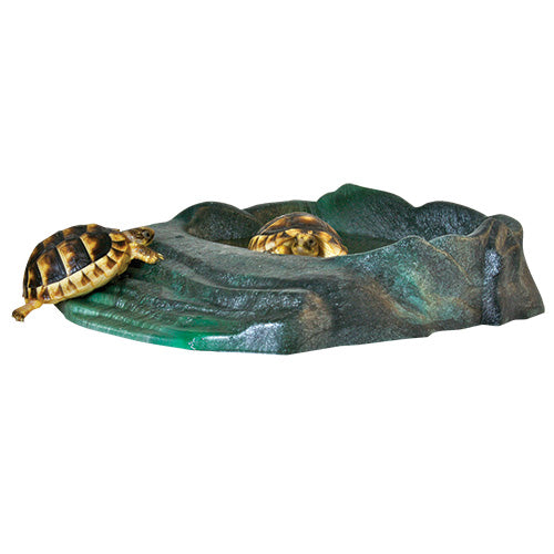 Zoo Med Repti Ramp Bowl - Large - Made from Recycled Materials