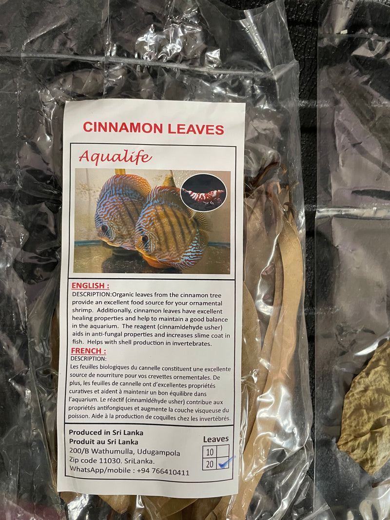 Aqualife Premium Cinnamon leaves (10)