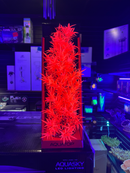 AquaTop Cannabis Red Aquarium Plant – 16" | Glows Under Blue Light