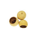 Natural Bael Pods for Aquariums, Shrimp Tanks & Bioactive Terrariums (3 pack)
