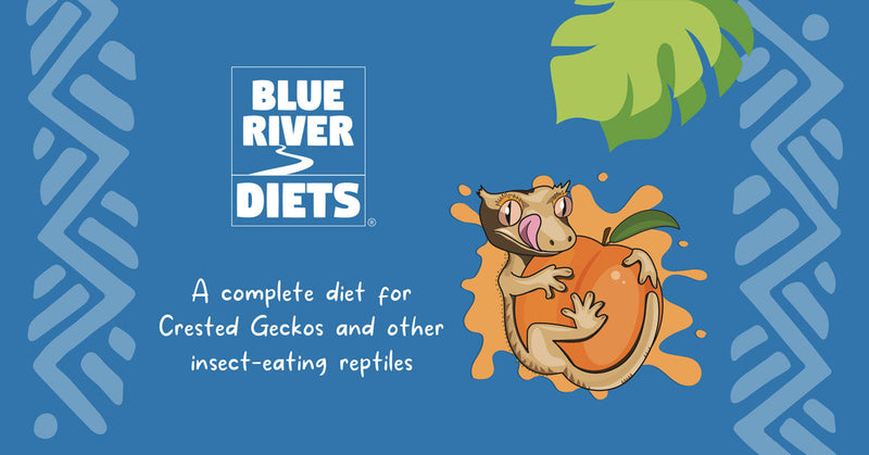 Blue River Diets Watermelon Burst Gecko Diet 60g   Made in the UK
