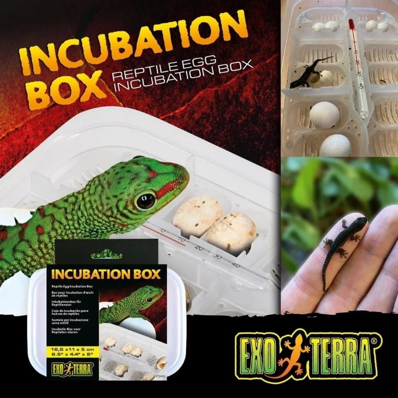 Exo Terra Incubation Box