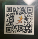 Exo Terra Terrarium - Advanced Amphibian Habitat - Small/Wide - 45 x 45 x 45 cm (18 x 18 x 18 in)