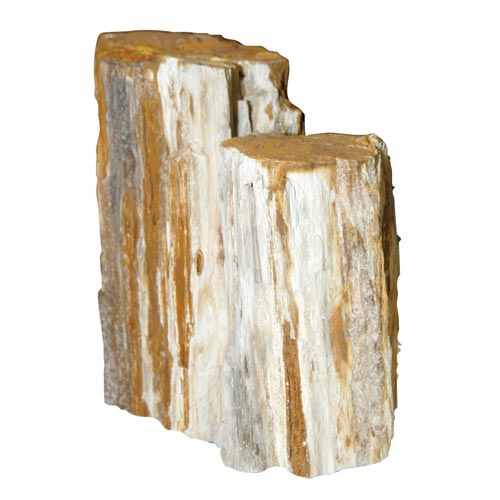 Feller Stone Petrified Wood - Sold by the Pound