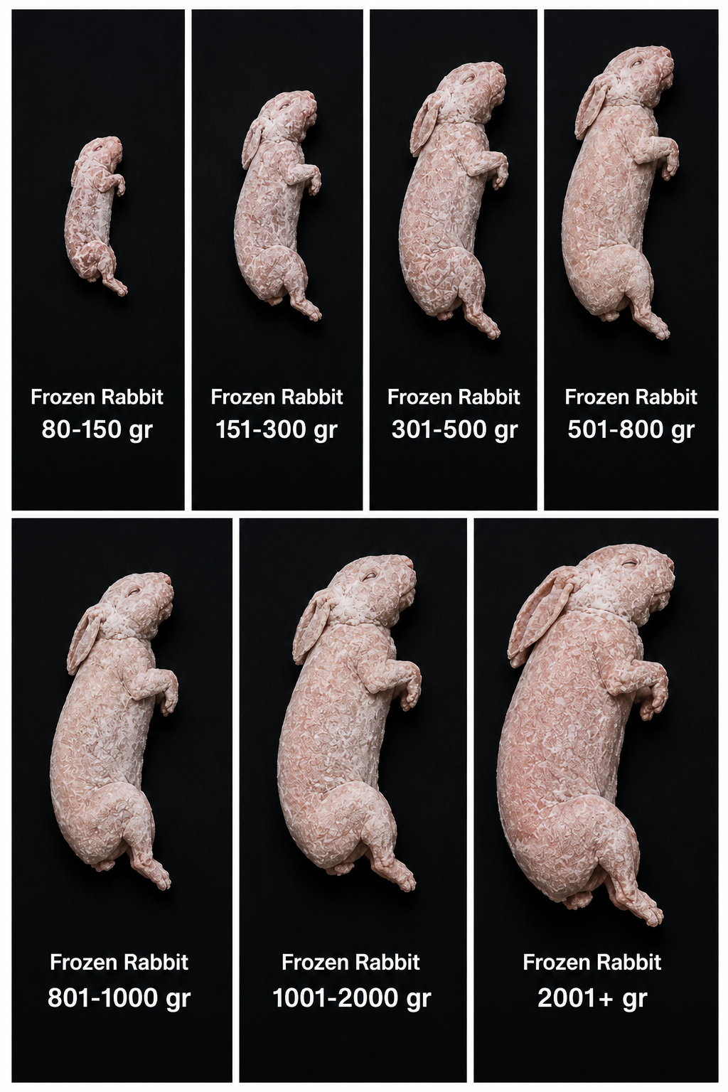 Frozen Feeder Rabbit