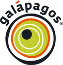 Galapagos Cholla Tree Branches & Wood Assorted sizes
