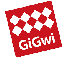 Gigwi Ball - Originals - Medium