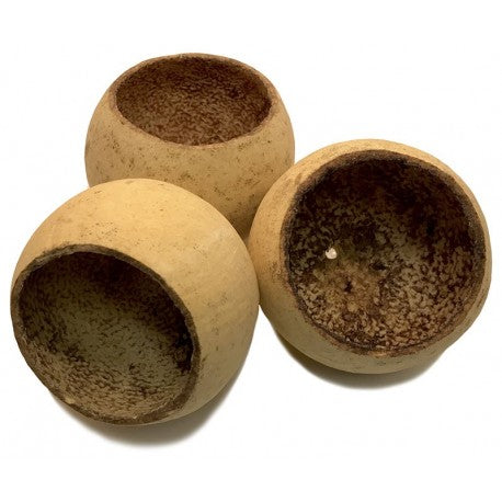 Jurassic Fruit Bell Pods/Cups 3 Pack