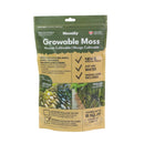 Mossify Growable Moss for Shade or Sun