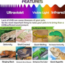 Nomoy Pet Test UVB Sensor, Reptile UV Tester Heating Lamp With Photochromic Card Indicator, Compatible With Sunglass Test & Sterilizing, Over 500 Times Reusable