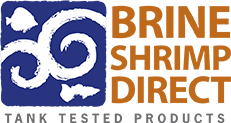 Premium Grade Brine Shrimp Eggs, 16 oz. (1lb)
