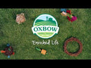 OXBOW ANIMAL HEALTH ENRICHED LIFE ROLLY TEASER