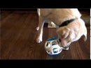 JW ROCKIN TREAT BALL DOG TOY