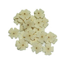 Fun-Max Chew Toy or Bio Active Sola