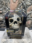 Spot Fiber Optic Lighted Skull  -  approx. 7" x 6" x 4"
