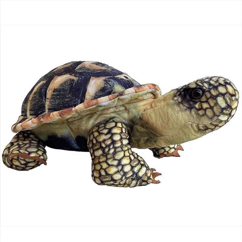 Spurred Tortoise Stuffed Toy Plushie 13" - Texas Toy Dist.