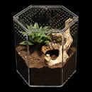 Tarantula Cribs – 8″ Hex Crib 8″x 8″x 8″