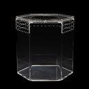Tarantula Cribs – 8″ Hex Crib 8″x 8″x 8″