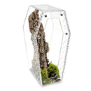 Tarantula Cribs – Medium Coffin – Hinged Door 10″x5″x5″ – Clear