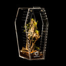 Tarantula Cribs – Medium Coffin – Hinged Door 10″x5″x5″ – Clear