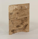 Universal Rocks Ledge Background ETB-007 18x24"