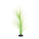 UT Green Hairgrass - 20"