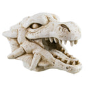 UT Dragon Skull Aquarium / Reptile Ornament