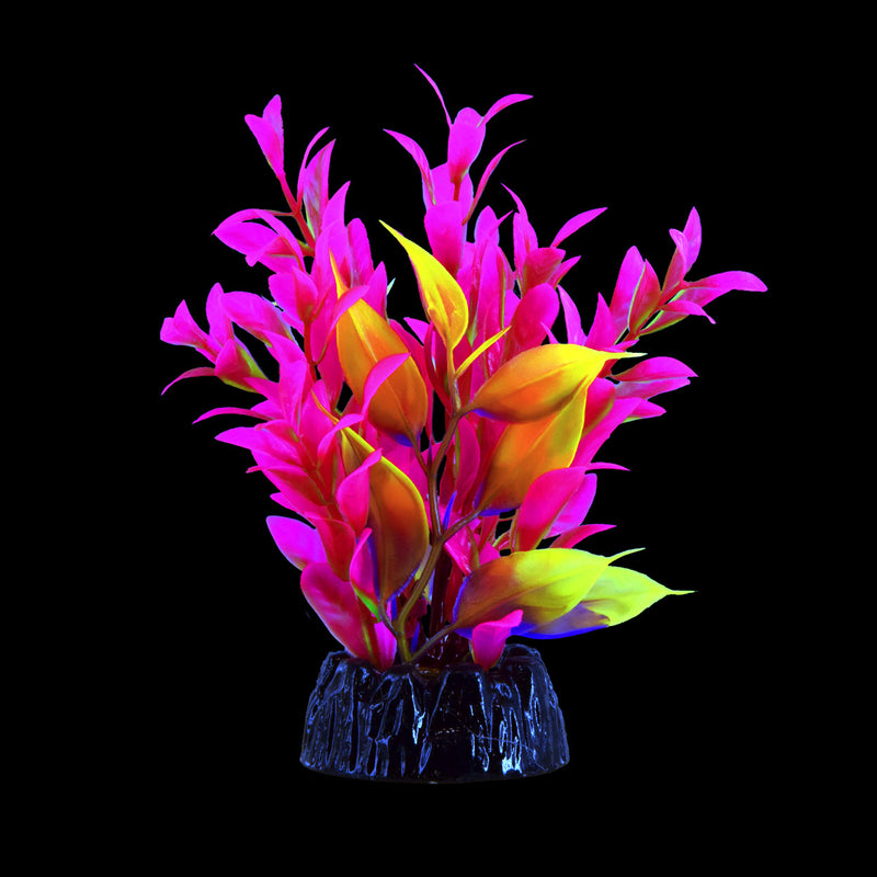 UT Glowing Glo Hygro - Pink - Small