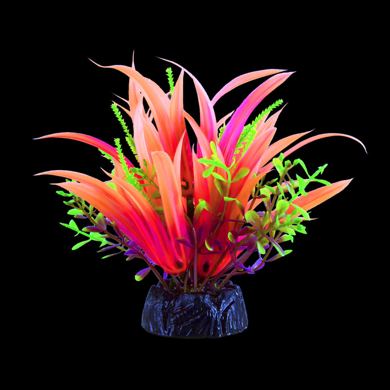 UT Glo Glowing Japonica - Pink - Small