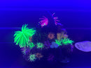 Underwater Treasures Reef Cave Style A – Glow-in-the-Dark Aquarium Ornament – 9.5"