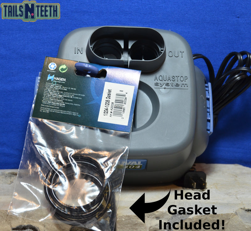 Fluval 104 Canister Filter Head A20100 - Complete Head Kit - w/FREE HEAD GASKET!