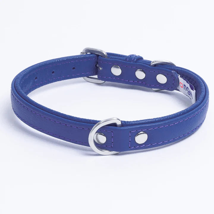 ANGEL "Alpine" Leather Collar 16" x 3/4" (Cobalt Blue)