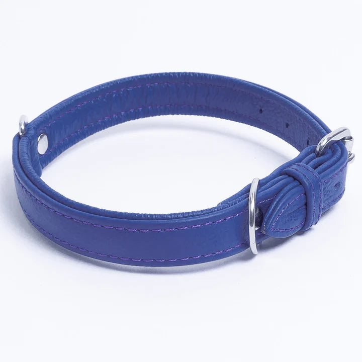 ANGEL "Alpine" Leather Collar 16" x 3/4" (Cobalt Blue)