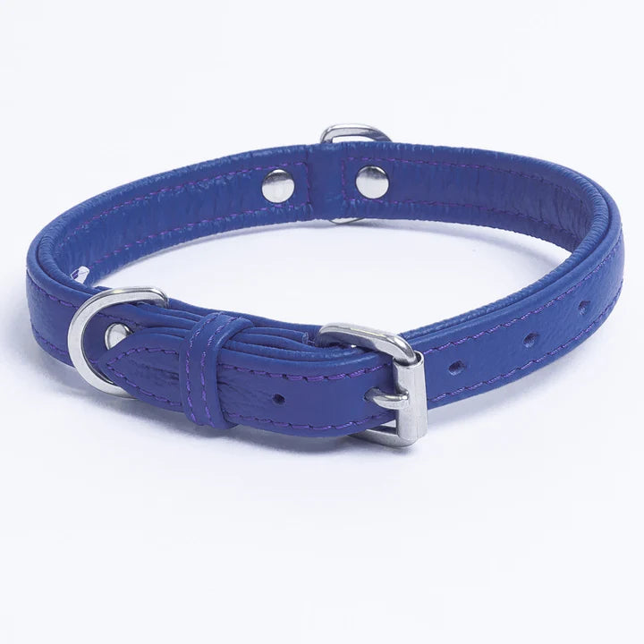 ANGEL "Alpine" Leather Collar 16" x 3/4" (Cobalt Blue)