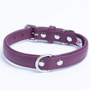 ANGEL "Alpine" Leather Collar 18" x 3/4" (Orchid Purple)