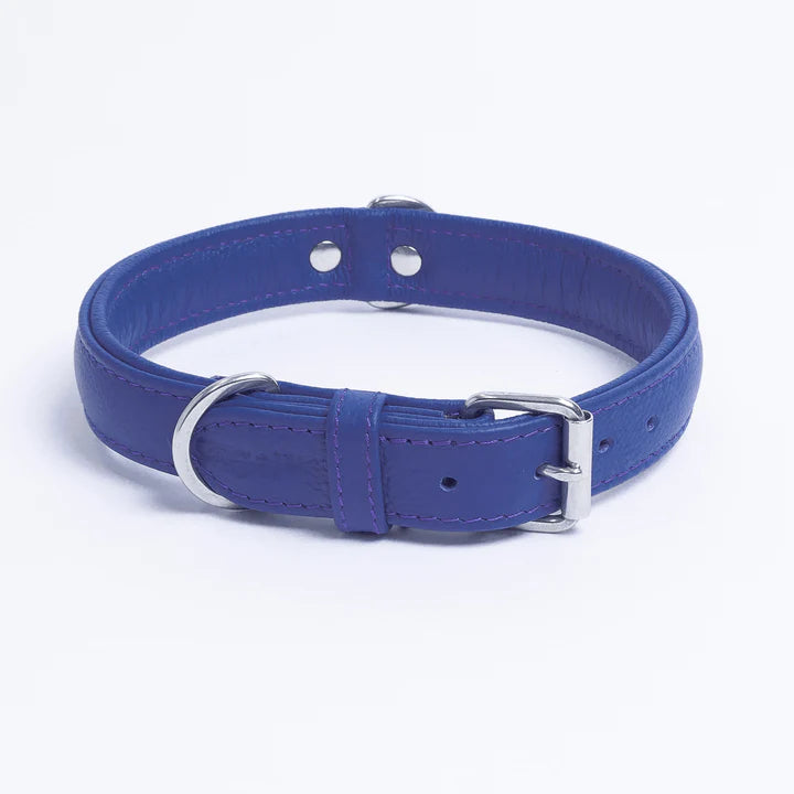 ANGEL "Alpine" Leather Collar 22" x 1" (Cobalt Blue)