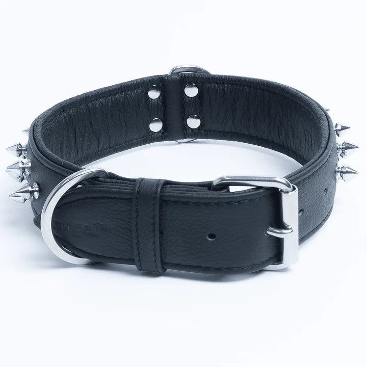 ANGEL "Amsterdam Spiked" Leather Collar 22" x 1.5" (Black)