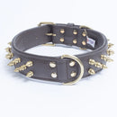 ANGEL "Amsterdam Spiked" Leather Collar 24" x 1.5" (Brown)