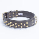 ANGEL "Amsterdam Spiked" Leather Collar 24" x 1.5" (Brown)