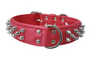 ANGEL "Amsterdam Spiked" Leather Collar 24" x 1.5" (Hot Pink)
